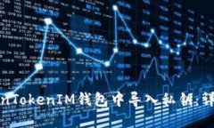 如何在TokenTokenIM钱包中导入私钥：详细视频教程