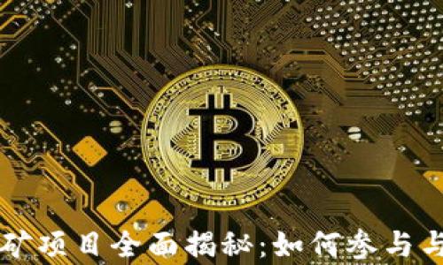 
区块链挖矿项目全面揭秘：如何参与与盈利解析