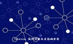 Tokenim 漏洞详解及其影响分析