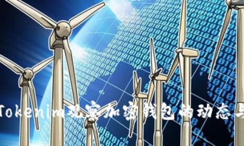 如何使用Tokenim观察加密钱包的动态与资产状态