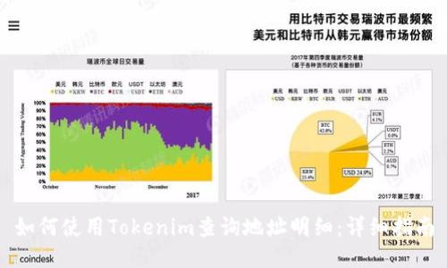 如何使用Tokenim查询地址明细：详细指南
