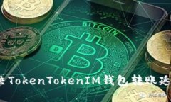 如何解决TokenTokenIM钱包转账延迟问题？