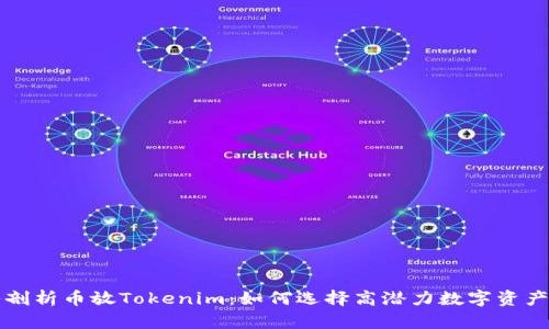 深入剖析币放Tokenim：如何选择高潜力数字资产投资