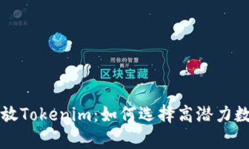 深入剖析币放Tokenim：如何选择高潜力数字资产投资