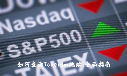 如何查询Tokenim地址：全面指南