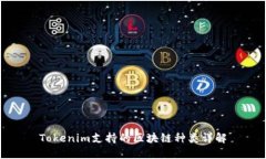 Tokenim支持的区块链种类详解