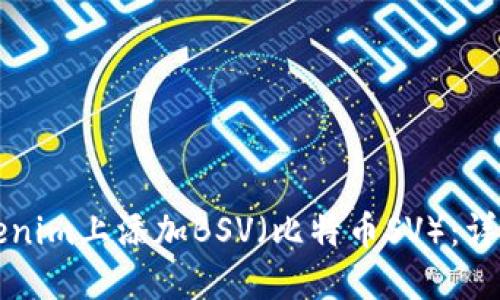 如何在Tokenim上添加BSV（比特币SV）：详细操作指南