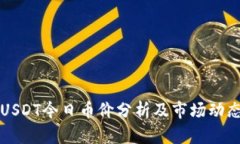 USDT今日币价分析及市场动态