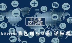 如何通过Tokentokenim钱包转入U币：详细指南与常见