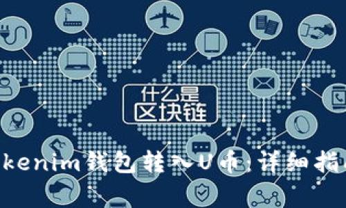 如何通过Tokentokenim钱包转入U币：详细指南与常见问题解答