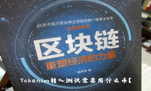 Tokenim转入测试需要用什么币？
