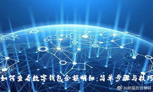 如何查看数字钱包余额明细：简单步骤与技巧