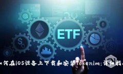 如何在iOS设备上下载和安装Tokenim：详细指南
