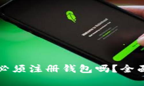 买虚拟币前必须注册钱包吗？全面解析与建议