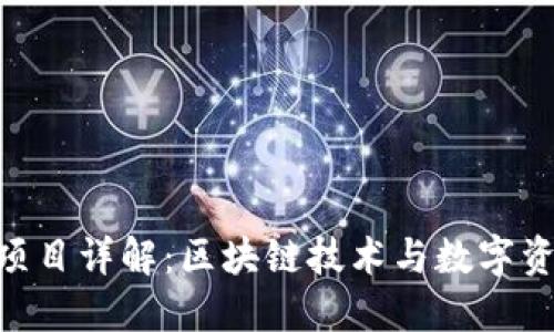Tokenim项目详解：区块链技术与数字资产的未来