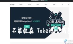瑞波币 (XRP) 不能放在 Tokenim 钱包的原因解析