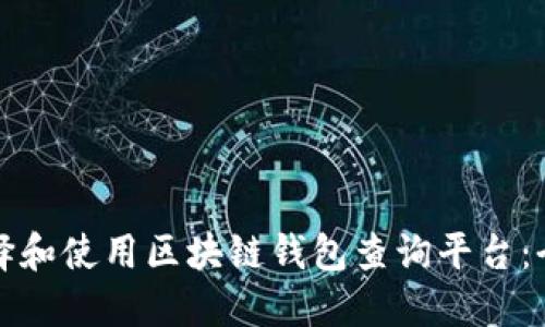 如何选择和使用区块链钱包查询平台：全面指南