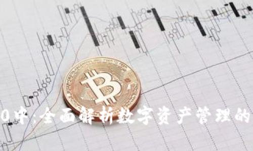 IM钱包10中：全面解析数字资产管理的未来趋势
