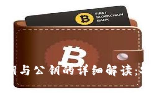 数字币钱包私钥与公钥的详细解读：安全与使用指南
