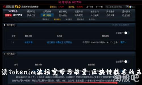 深入解读Tokenim波场宽带与能量：区块链技术的未来趋势