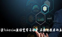 深入解读Tokenim波场宽带与能量：区块链技术的未