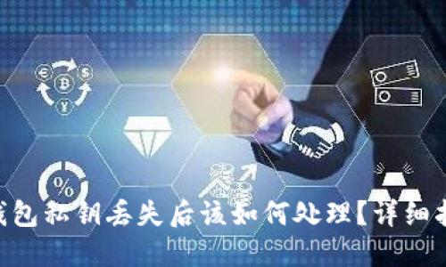 Tokenim钱包私钥丢失后该如何处理？详细指南与解答