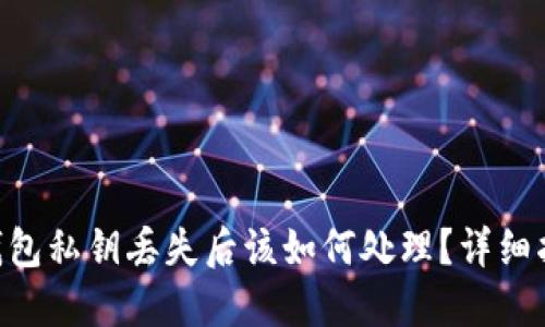 Tokenim钱包私钥丢失后该如何处理？详细指南与解答