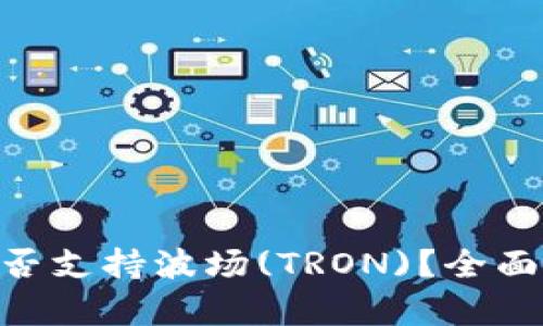 Tokenim钱包是否支持波场(TRON)？全面解析与使用指南