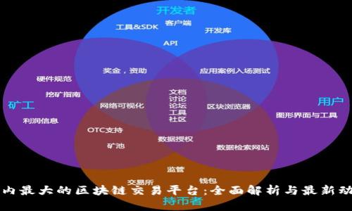 国内最大的区块链交易平台：全面解析与最新动态