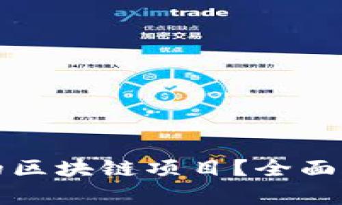 如何识别真实的区块链项目？全面解析与投资指南