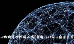 Tokenim地址可以给别人吗？详解Tokenim安全使用及风