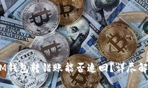 TokenTokenIM钱包转错账能否追回？详尽解读与解决方案