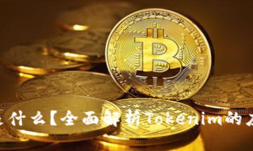 Tokenim是什么？全面解析Tokenim的应用与前景