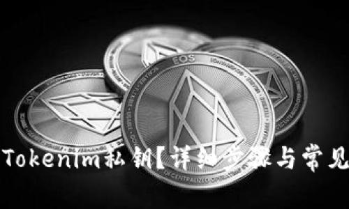 如何找回Tokenim私钥？详细步骤与常见问题解析