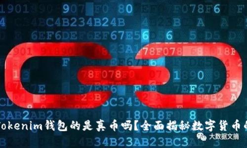 能转入Tokenim钱包的是真币吗？全面揭秘数字货币的安全性