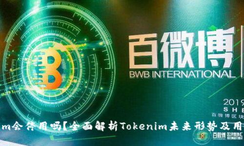 Tokenim会停用吗？全面解析Tokenim未来形势及用户保障