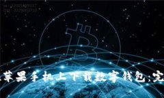 如何在苹果手机上下载数字钱包：完整指南