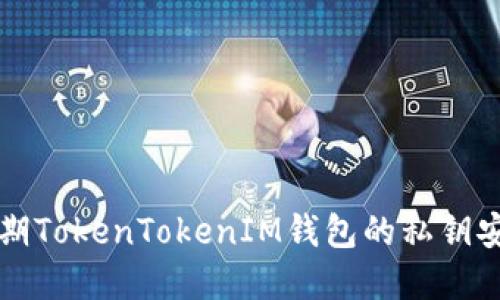 深入探讨早期TokenTokenIM钱包的私钥安全性与管理
