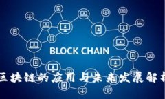 区块链的应用与未来发展解析