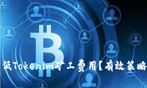 如何降低Tokenim矿工费用？有效策略与技巧