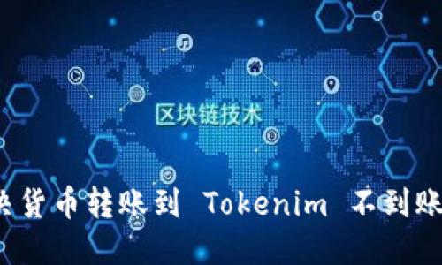 如何解决货币转账到 Tokenim 不到账的问题？