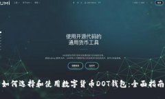 如何选择和使用数字货币DOT钱包：全面指南