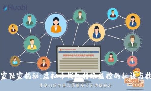 专家独家揭秘：虚拟币钱包转账监控的秘诀与技巧