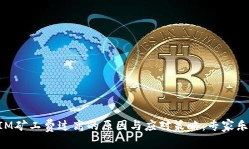 揭秘TokenIM矿工费过高的原因与应对策略：专家乐坛独家秘诀