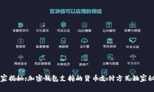 专家揭秘：加密钱包支持的货币支付方式独家秘诀