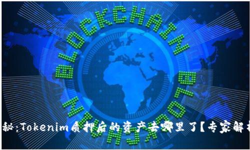 独家揭秘：Tokenim质押后的资产去哪里了？专家解析秘诀！