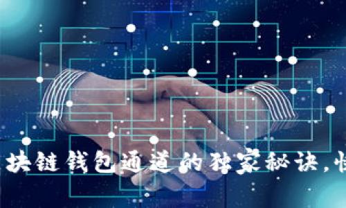 专家揭秘：区块链钱包通道的独家秘诀，快速上手指南