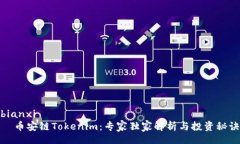 bianxi    币安链Tokenim：专家独家解析与投资秘诀