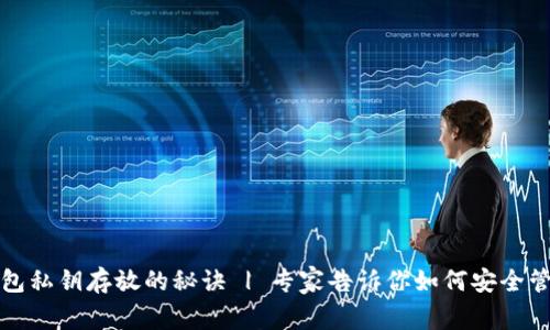 揭秘钱包私钥存放的秘诀 | 专家告诉你如何安全管理私钥