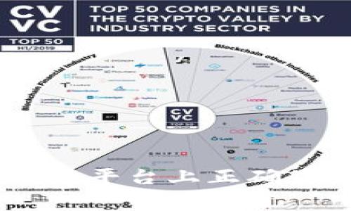 专家揭秘：如何在Tokenim平台上正确显示矿工挖币所得的秘诀